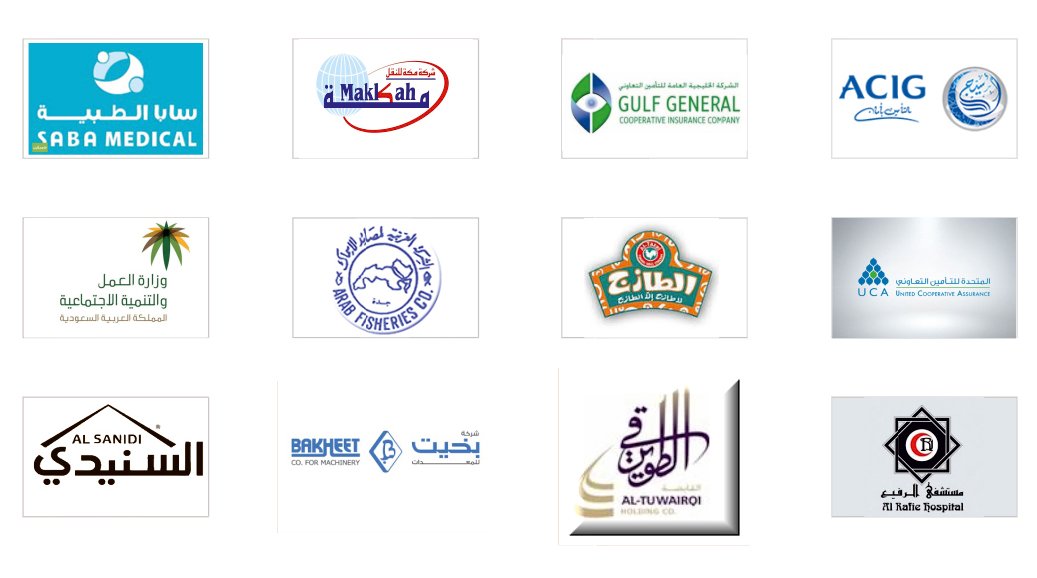 Ahmed Tayseer Ibrahim & Partners